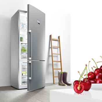 Standkühlschränke / Kühl- Gefrierkombinationen
